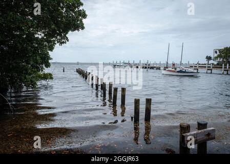 Blick auf die Biscayne Bay vom Barnacle Historic State Park, Miami Florida Stockfoto