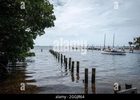 Blick auf die Biscayne Bay vom Barnacle Historic State Park, Miami Florida Stockfoto