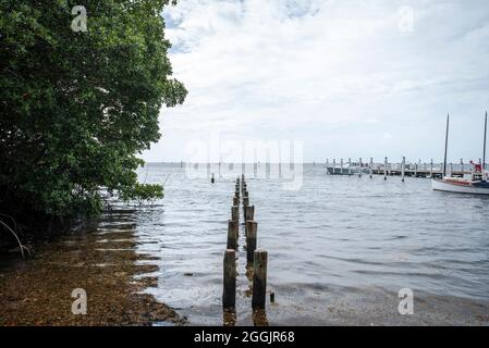 Blick auf die Biscayne Bay vom Barnacle Historic State Park, Miami Florida Stockfoto