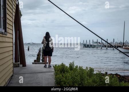 Blick auf die Biscayne Bay vom Barnacle Historic State Park, Miami Florida Stockfoto