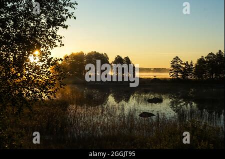 Flussszenen zwischen Wäldern und Nebel an einem bunten Herbstmorgen. Stockfoto