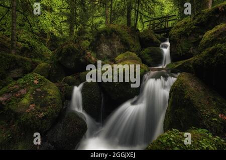 Kleine Wasserfälle am Gertelbach. Stockfoto