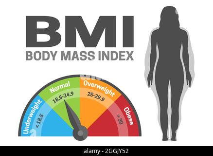 BMI Body Mass Index Infografik Vektor-Illustration mit Frau Silhouette von normal bis fettleibig Gewicht Verlust oder Gewichtszunahme Stock Vektor