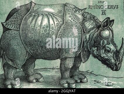 Die Rhinozeros von Albrecht Dürer (1471-1528), Kolorierter Holzschnitt, 1515 Stockfoto