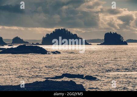 Long Beach Tofino Stockfoto