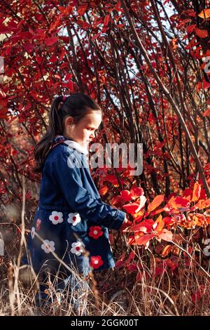 Seitenansicht Kind Porträt. Niedliches kleines Mädchen in blauen Jeans Mantel mit Stickerei Blumen halten Baum Zweig mit roten Blättern im Herbst Wald Hintergrund Stockfoto