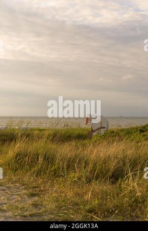 Urlaub im Liegestuhl im Sonnenschein an der Ostsee, Kieler Förde in Stein, Deutschland. Stockfoto