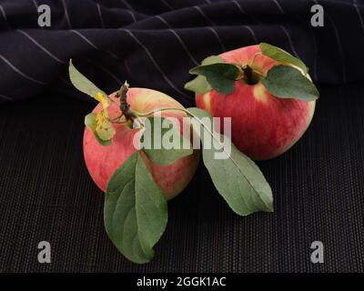 Zwei reife rote Äpfel mit Blättern. Low-Taste. Nahaufnahme. Stockfoto
