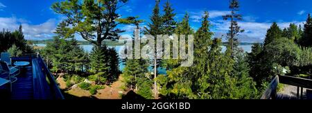 Panoramablick auf Wald und Baumkronen von einer Terrasse in Johnson Point, South Penobscot, Maine, ME, USA Stockfoto