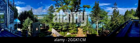 Panoramablick auf Wald und Baumkronen von einer Terrasse in Johnson Point, South Penobscot, Maine, ME, USA Stockfoto