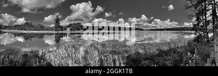 Panoramablick auf den Bagaduce River vom 21 Hektar großen Starr & Virgina Lampton Preserve. Stockfoto