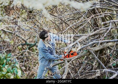 Ein Mann, der mit einer Kettensäge in einem geschlossenen Wald Äste schneidet. Stockfoto