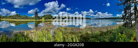 Panoramablick auf den Bagaduce River vom 21 Hektar großen Starr & Virgina Lampton Preserve in Castine, Maine, ME, USA Stockfoto