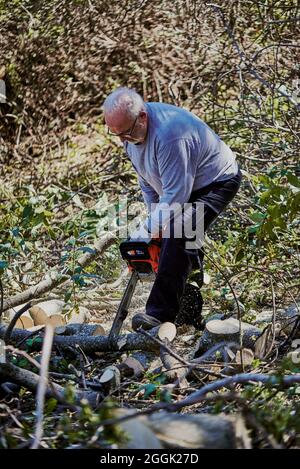 Ein alter Mann schneidet einen umgestürzten Baum im Wald ab. Stockfoto