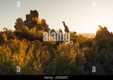 Tuffsteinformationen am Mono Lake bei Sonnenaufgang, Mono Lake Tufa State Reserve, Kalifornien, USA Stockfoto