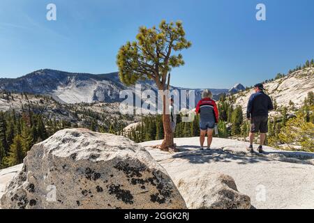 Blick von Olmsted Point auf Half Dome, Yosemite National Park, Kalifornien, USA Stockfoto