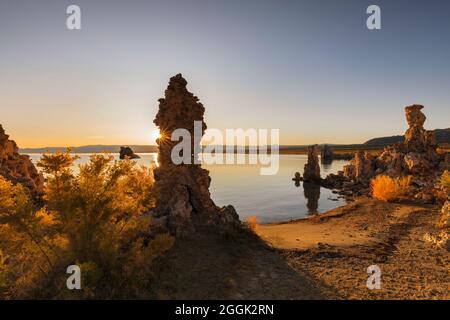 Tuffsteinformationen am Mono Lake bei Sonnenaufgang, Mono Lake Tufa State Reserve, Kalifornien, USA Stockfoto