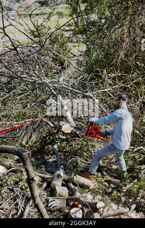 Mann mit einer Kettensäge im Garten Stockfoto