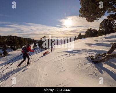 Zwei Skifahrer auf einer Skitour mit Pulka-Material-Schlitten durch das Naturschutzgebiet Réserve naturelle des Hauts Plateaus du Vercors Stockfoto