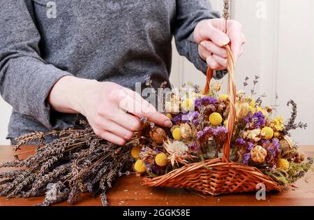 Florist bei der Arbeit: Wie man herbstliche Blumenarrangements im Korbkorb mit getrockneten Blumen und anderen Pflanzen macht. Schritt für Schritt, Tutorial. Stockfoto