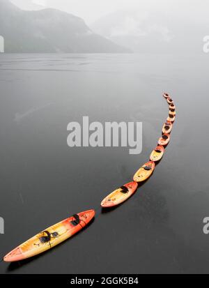 Gelbe und rote Kajaks werden an einem regnerischen Tag im Misty Fjords National Monument, Alaska, USA, zusammengebunden Stockfoto