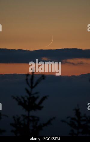 Wunderschöne abendliche, zentrierte Ansicht des Halbmondes vom Ticknock Forest National Park, County Dublin, Irland. Teleaufnahme mit Wolken, Bäumen Stockfoto