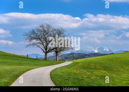 Deutschland, Bayern, Oberbayern, Pfaffenwinkel, Obersöchering, Frühlingslandschaft bei Habaching vor den Ausläufern der Alpen mit Benediktenwand Stockfoto