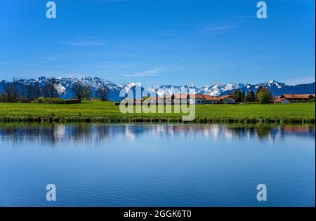 Deutschland, Bayern, Oberbayern, Pfaffenwinkel, Obersöchering, Söcheringer Weiher bei Eckenbichl gegen das Estergebirge und das Wettersteingebirge Stockfoto