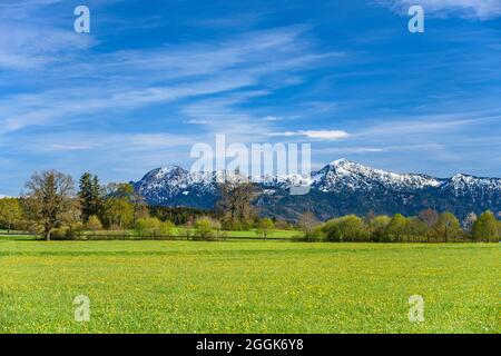 Deutschland, Bayern, Oberbayern, Pfaffenwinkel, Obersöchering, Frühlingslandschaft vor den Ausläufern der Alpen mit Herzogstand und Heimgarten Stockfoto