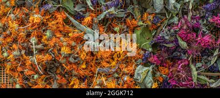 Getrocknete Calendula, Monarda Didyma (Bergamotte) und Anishysop (Agastache foeniculum). Bereits getrocknet, um entspannenden Kräutertee zu machen. Stockfoto