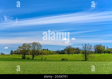 Deutschland, Bayern, Oberbayern, Pfaffenwinkel, Obersöchering, Bezirk Abertshausen, Frühlingslandschaft Stockfoto