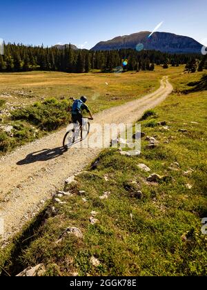 Mountainbiker auf Tour durch das Naturschutzgebiet Hauts-Plateaus du Vercors, Departement Auvergne-Rhône-Alpes. Im Hintergrund der Grand Veymont. Stockfoto
