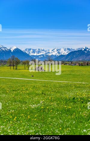 Deutschland, Bayern, Oberbayern, Pfaffenwinkel, Spatzenhausen, Bezirk Hofheim, Frühlingslandschaft gegen Alpenkette, Blick auf Leibersberg Stockfoto