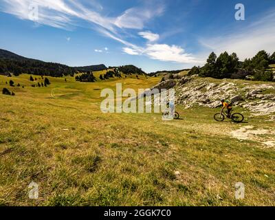 Mountainbiker auf Singletrails auf Tour durch das Naturschutzgebiet Hauts-Plateaus du Vercors, Auvergne-Rhône-Alpes. Stockfoto