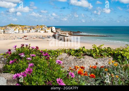 Blick auf St. ives in cornwall von den malakoff-Gärten Stockfoto