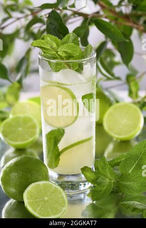 Erfrischender Bio-Mojito-Cocktail aus frischer Limette, weißem Rum kombiniert mit frischem Saft und Minze. Dies ist der perfekte Cocktail für Sommertage. Stockfoto