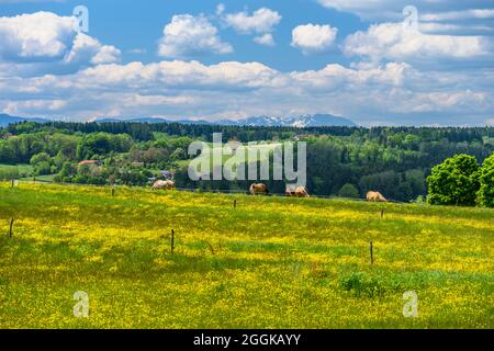 Deutschland, Bayern, Oberbayern, Kreis Ebersberg, Baiern, Bezirk Antholing, Blick über das Glonntal in Richtung Mangfallgebirge Stockfoto