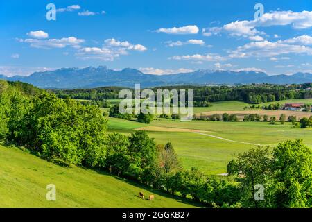 Deutschland, Bayern, Oberbayern, Kreis Ebersberg, Baiern, Bezirk Jakobsbaiern, Blick von der Jakobskirche über das Glonntal in Richtung Wendelstein-Massiv und Schlierseer-Gebirge Stockfoto