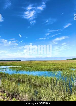 St. Helena Island, South Carolina. Marschland dominiert von krautigen Pflanzenarten. Sümpfe bieten Lebensraum für viele Arten von Wirbellosen, Fischen, Amphibien, Wasservögeln und Meeressäugern Stockfoto