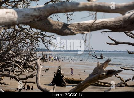 Botany Bay Plantation in Edisto Island, South Carolina. Stockfoto