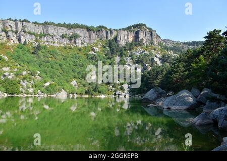 Grüne Farbpalette in der Schwarzen Lagune bei Sonnenaufgang, Provinz Soria, Spanien Stockfoto