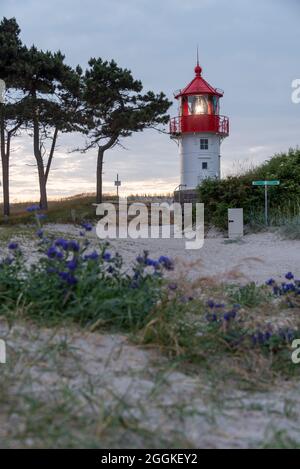 Deutschland, Mecklenburg-Vorpommern, Hiddensee-Insel, Leuchtturm auf der Gellen, Landzunge im Süden der Ostseeinsel, Nationalpark Vorpommersche Lagune, Ostsee Stockfoto