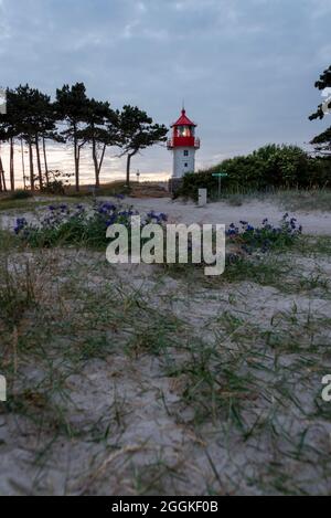 Deutschland, Mecklenburg-Vorpommern, Hiddensee-Insel, Leuchtturm auf der Gellen, Landzunge im Süden der Ostseeinsel, Nationalpark Vorpommersche Lagune, Ostsee Stockfoto