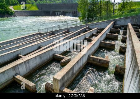 Fischleiter für Laichwanderung am Lech Stockfoto