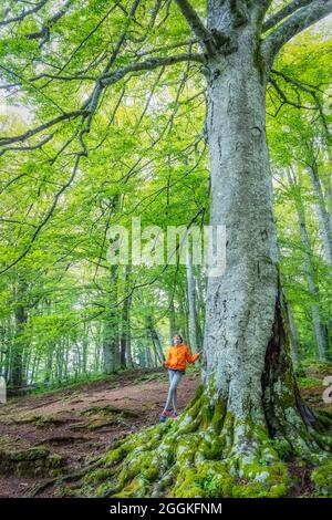 Mädchen (11 Jahre) am Fuße einer riesigen Buche in den Wäldern des Casentino, La Verna, Franziskanerschutzgebiet, Chiusi della Verna, Arezzo, Toskana, Italien Stockfoto