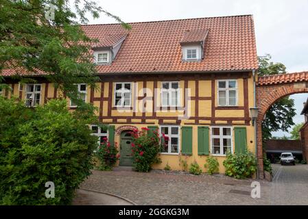 Deutschland, Mecklenburg-Vorpommern, Stralsund, Rosen blühen vor einem Fachwerkhaus, Johanniskloster, Hansestadt Stralsund Stockfoto