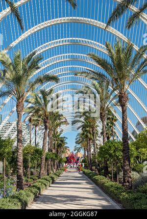 Das Umbracle (L'Umbracle), Stadt der Künste und Wissenschaften (Ciutat de les Arts i les Ciències), Valencia, Spanien Stockfoto