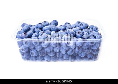 Frische Heidelbeeren in einem durchsichtigen Plastikbehälter, isoliert auf Weiß Stockfoto