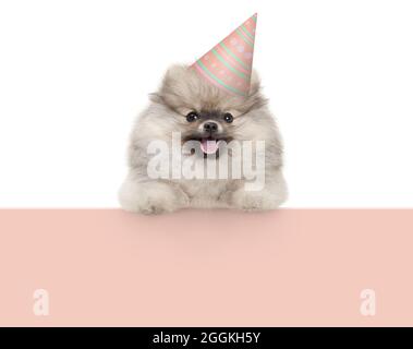 Fröhlich lächelnder pomaranischer spitz-Welpe mit Geburtstagshut, mit Pfoten auf pastellorangefarbenem Banner hängend, isoliert Stockfoto