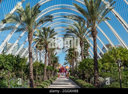 Das Umbracle (L'Umbracle), Stadt der Künste und Wissenschaften (Ciutat de les Arts i les Ciències), Valencia, Spanien Stockfoto